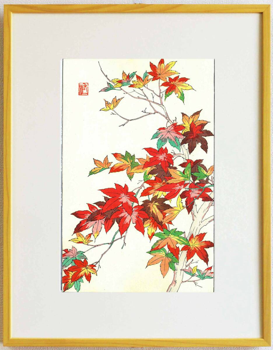 真作保証 額装 大菅祐一 木版画 紅葉 Maple 初版 昭和中期頃 自宅に届いて直ぐに飾れる京都の名品 花版画!!拍卖