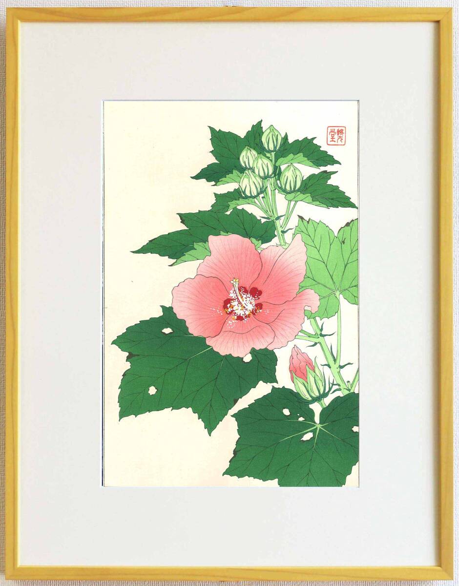 真作保証 額装 河原崎奨堂 木版画 #83 芙蓉 Hibiscus mutabilis 初版昭和中期頃 自宅に届いて直ぐに飾れる京都の名品 花版画!!拍卖