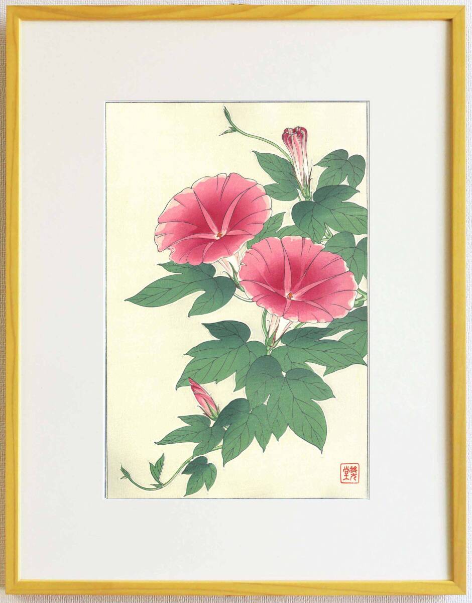 真作保証 額装 河原崎奨堂 木版画 #61 朝顔 Morning glory 初版 昭和中期頃 自宅に届いて直ぐに飾れる京都の名品 花版画!!拍卖