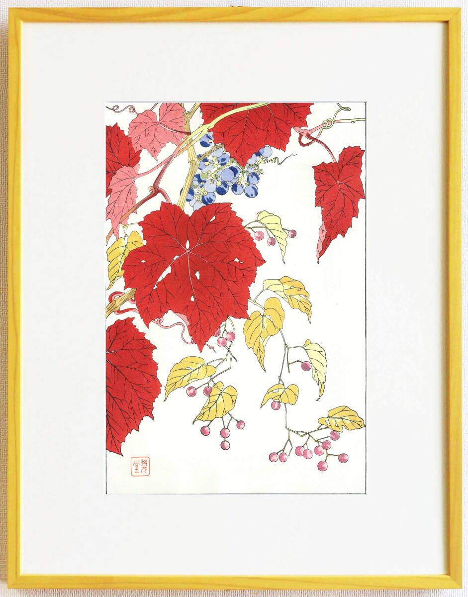 真作保証 額装 河原崎奨堂 木版画 #76 山葡萄 Wild grapes 初版 昭和中期頃 自宅に届いて直ぐに飾れる京都の名品 花版画!!拍卖