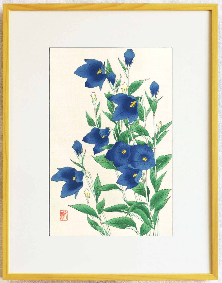 真作保証 額装 大菅祐一 木版画 #179 桔梗 Bell-flower 初版 昭和中期頃 自宅に届いて直ぐに飾れる京都の名品 花版画!!拍卖