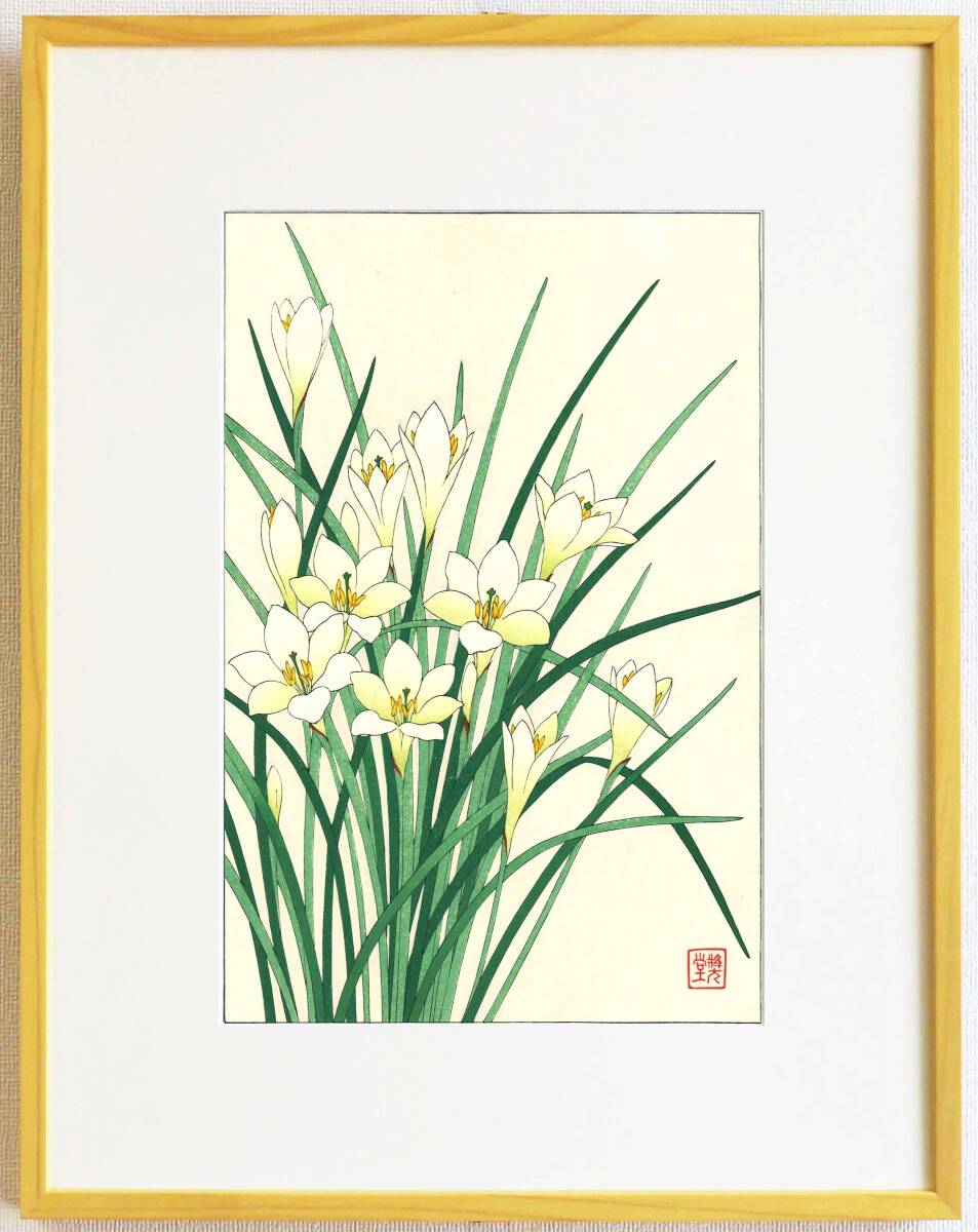 真作保証 額装 河原崎奨堂 木版画 #118 玉すだれ Zepher lily 初版昭和中期頃 自宅に届いて直ぐに飾れる京都の名品 花版画!!拍卖