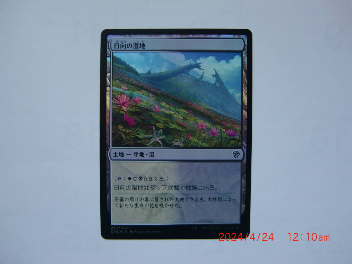 バイン MTG 日向の湿地/Sunlit Marsh foil 日本語1枚拍卖