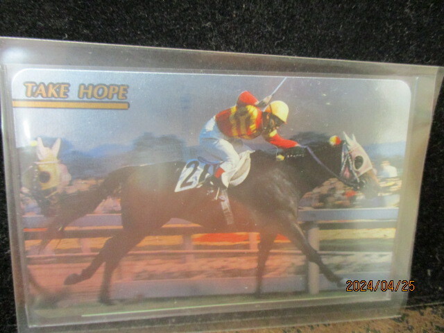 ◎競馬カード  タケホープ  1998年 東ハト 馬結び ダービーゴールド No.225 即決!!拍卖
