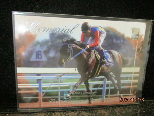 ◎競馬カード ライスシャワー 1999 バンダイ サラブレッドカード 99上半期 M12 即決!!拍卖