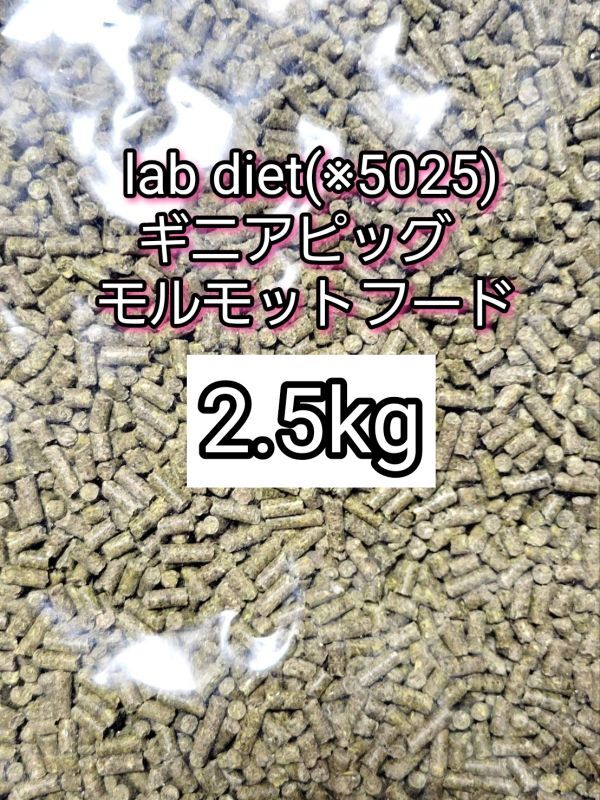 ギニアピッグ ラブダイエット 5025 モルモットフード 2.5kg lab diet デグー チンチラ モルモット 小動物拍卖
