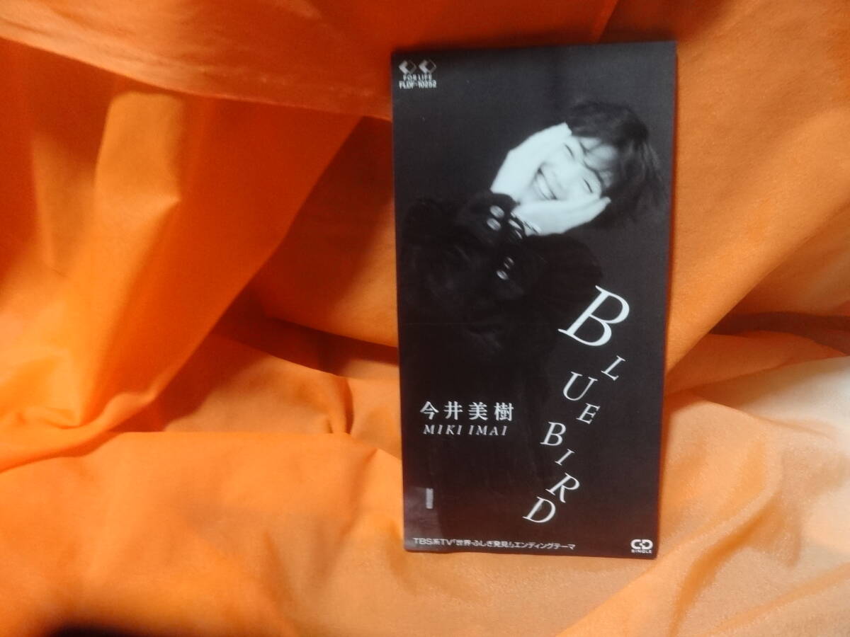 ☆今井美樹/BlueBird TBS系テレビ「世界・ふしぎ発見!」エンディング・テーマ CDS 8cmCD 布袋寅泰拍卖