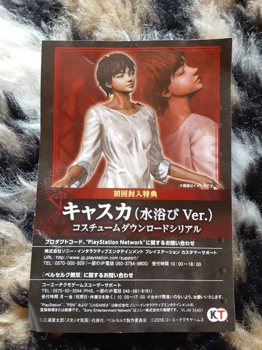 【未使用特典】ベルセルク無双 初回封入特典 キャスカ(水浴びVer.) コスチュームダウンロードシリアル PS4拍卖