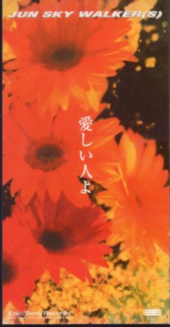 ◆8cmCDS◆JUN SKY WALKER(S)/愛しい人よ/11thシングル拍卖