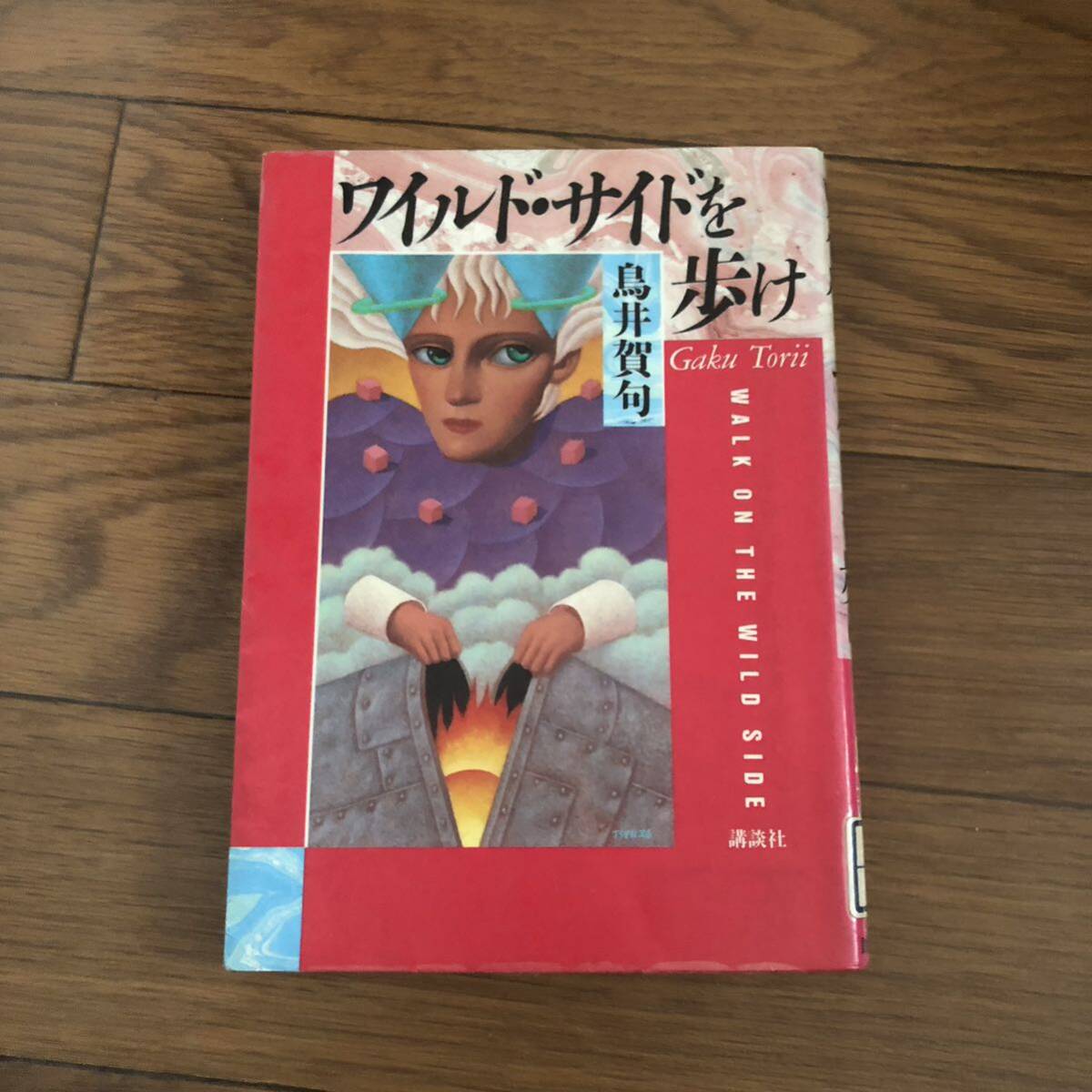 ワイルドサイドを歩け(鳥井賀句) 講談社 ロック パンク リサイクル本 除籍本拍卖