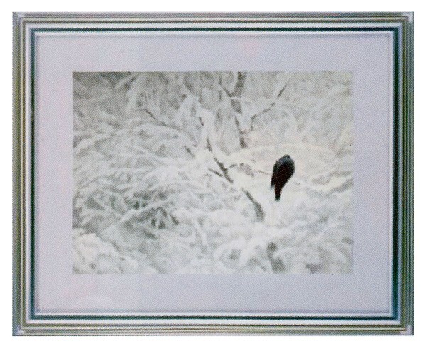 絵画 世界の名画シリーズ 額縁付 東山魁夷 「白い朝」 サイズF10号特寸 プリハード拍卖