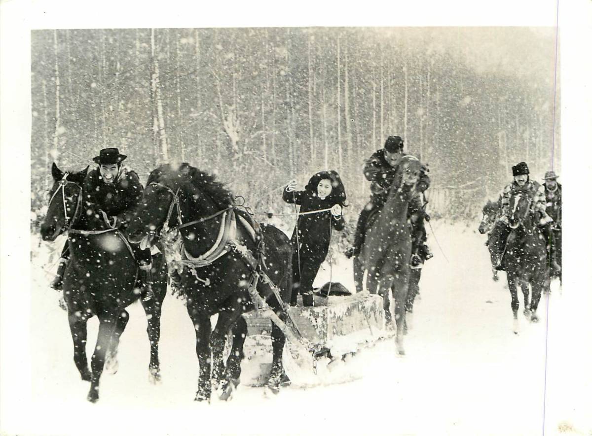 p31095高倉健石井輝男『網走番外地大雪原の対決』スチル拍卖