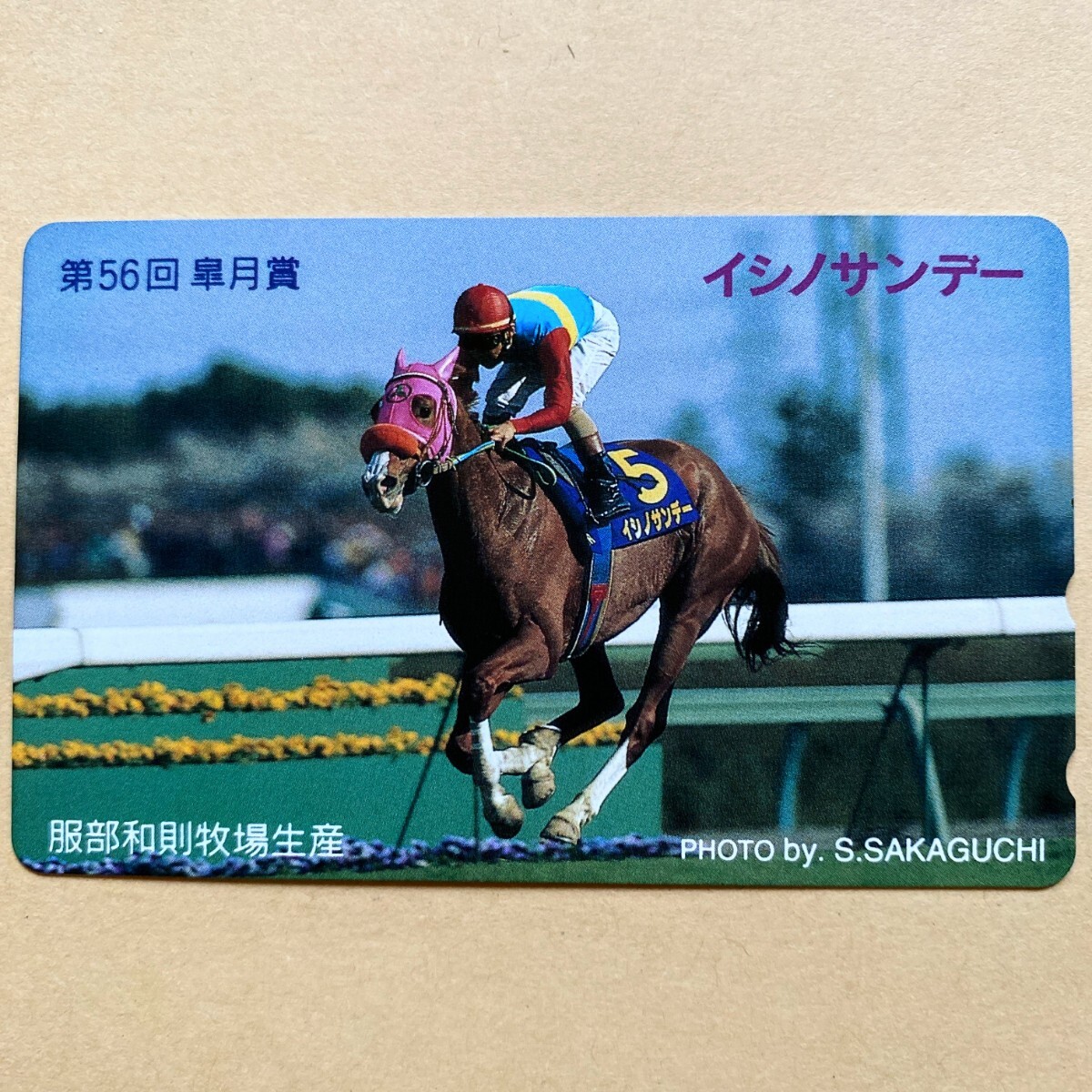 【未使用】競馬テレカ 50度 イシノサンデー 第56回皐月賞拍卖
