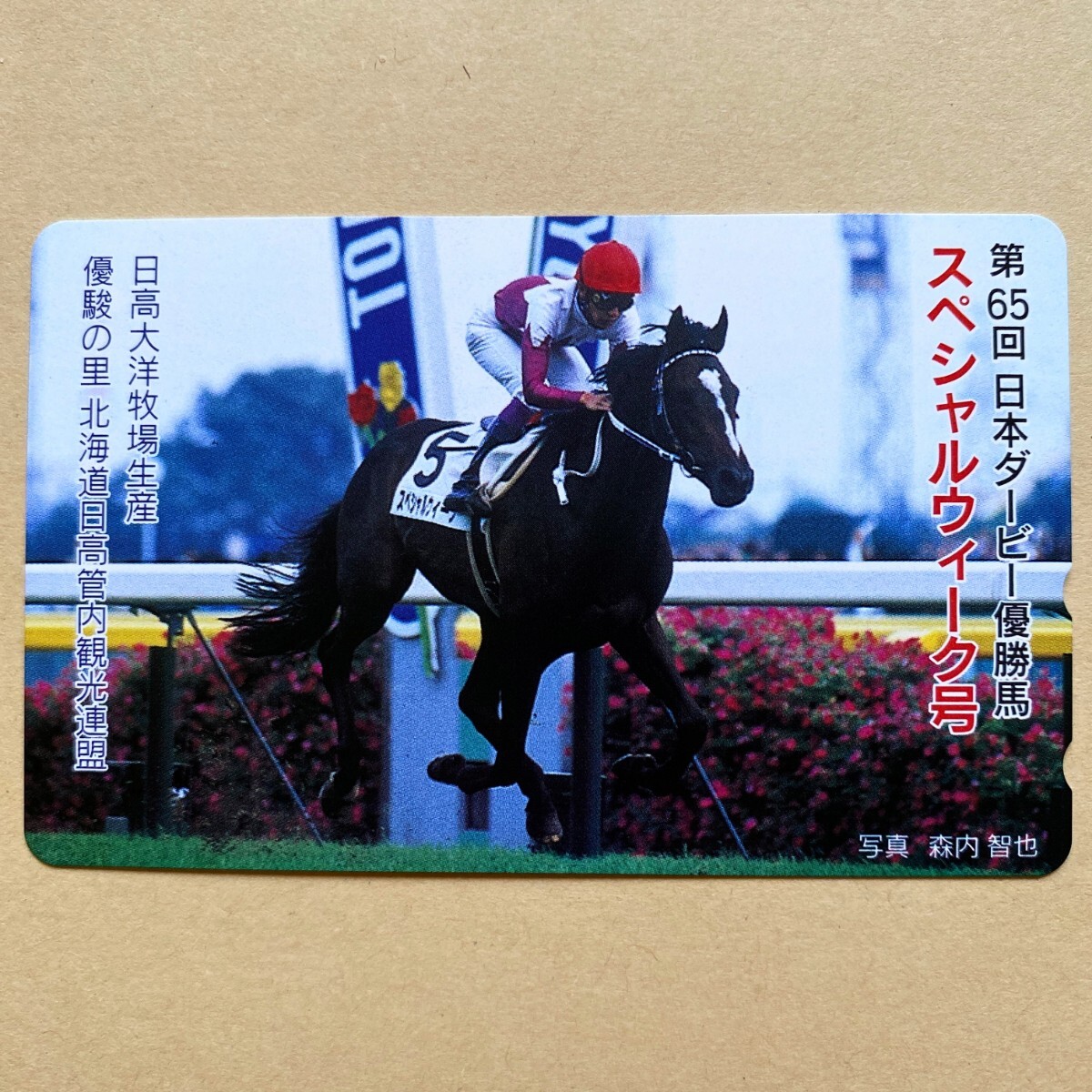 【未使用】競馬テレカ 50度 スペシャルウィーク 第65回日本ダービー優勝馬拍卖