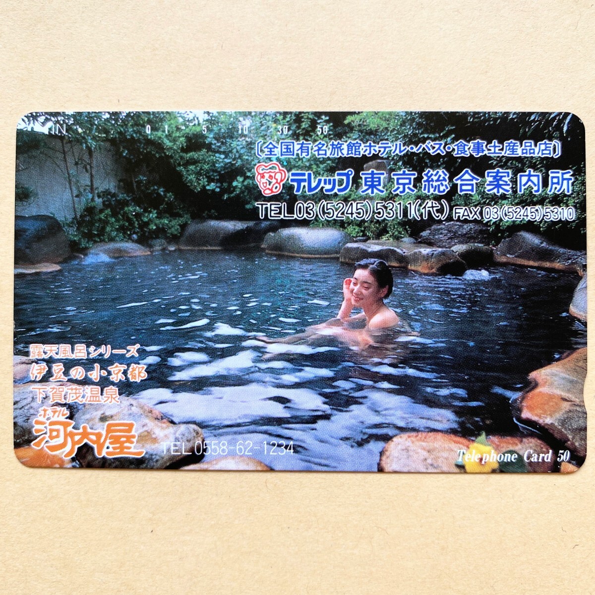 【未使用】温泉テレカ 50度 露天風呂シリーズ 伊豆の小京都 下賀茂温泉 ホテル河内屋拍卖