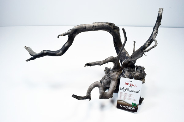 リベラ ウッドルーツL 流木 1個 ※アクぬき処理済み 約30~45cm拍卖