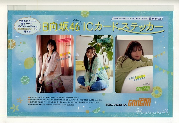 ヤングガンガン 2024年08号付録 日向坂46 ICカードステッカー拍卖