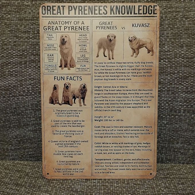 【送料無料】グレートピレニーズ 図鑑 メタルサインプレート【新品】拍卖
