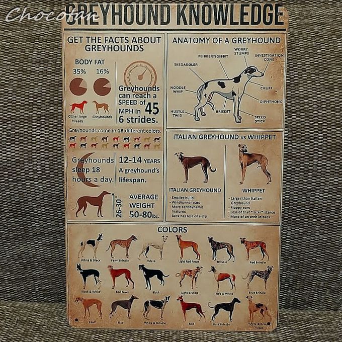 【送料無料】グレーハウンド H 図鑑 メタルサインプレート【新品】拍卖