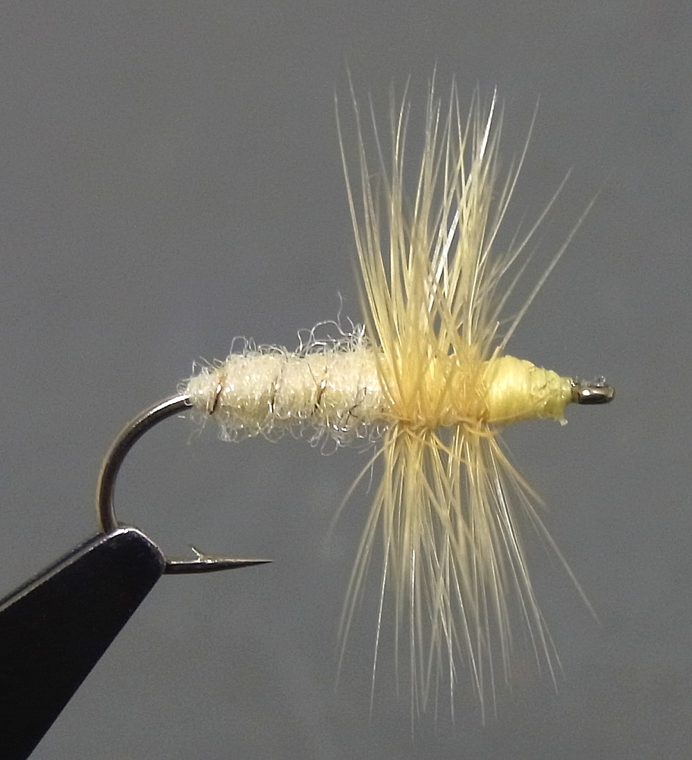 テンカラ/フライ #12 ライトケイヒル 10本拍卖