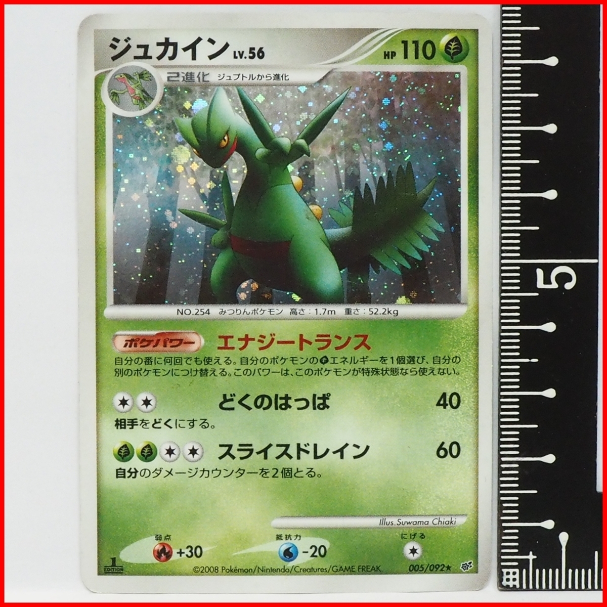 ポケモンカードゲームDP拡張パックDPS破空の激闘【キラ2進化ジュカインLV.56 HP110草】005/092★ポケットモンスター【中古】送料込拍卖