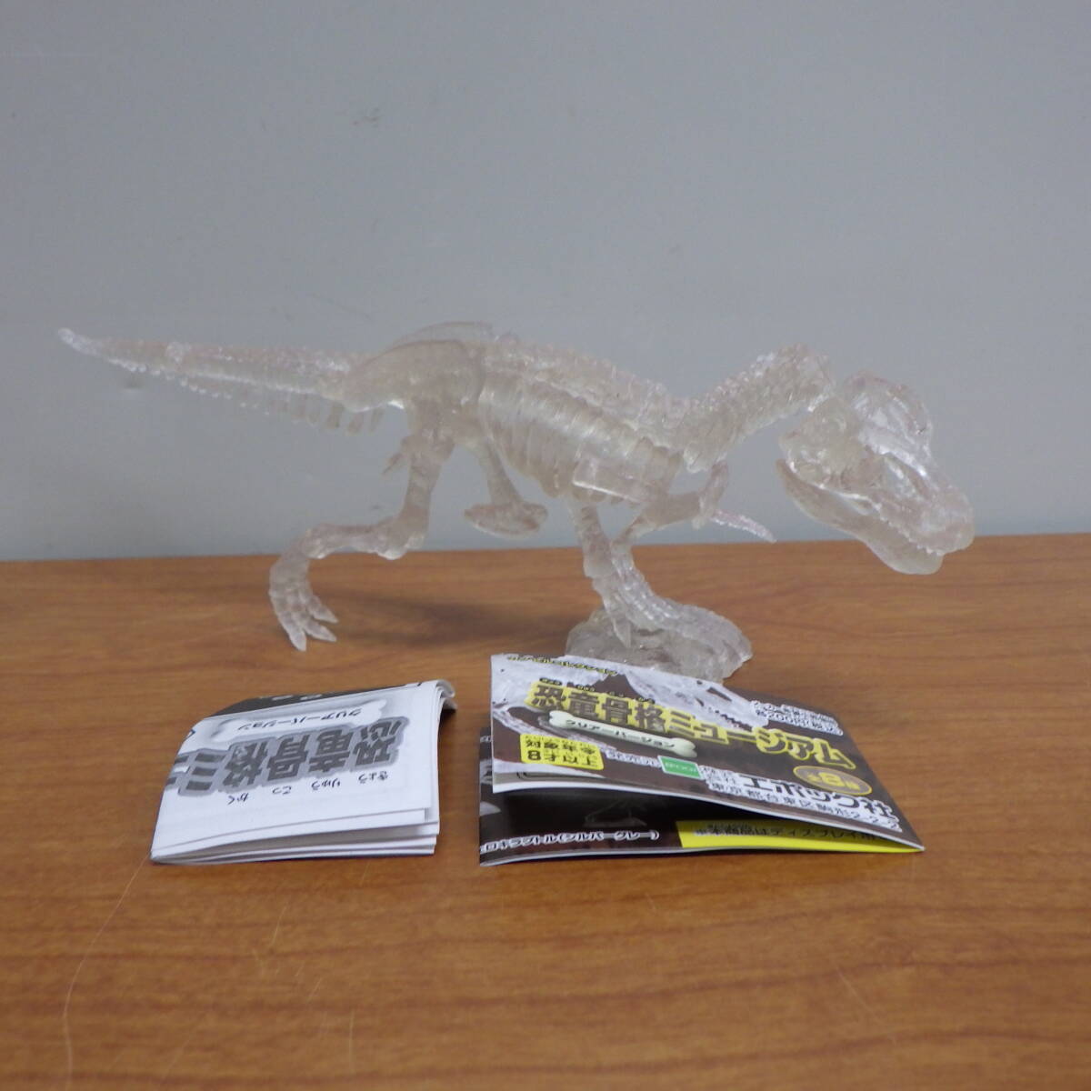 エポック社 カプセルコレクション 恐竜骨格ミュージアム ヴェロキラプトル クリアー拍卖