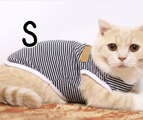 ペット●タンクトップ Tシャツ●黒【S】ボーダー柄 コットン♪色褪せしない♪春夏、秋口にも!ウェア 小型犬 犬服 猫 【S】ブラック 夏拍卖