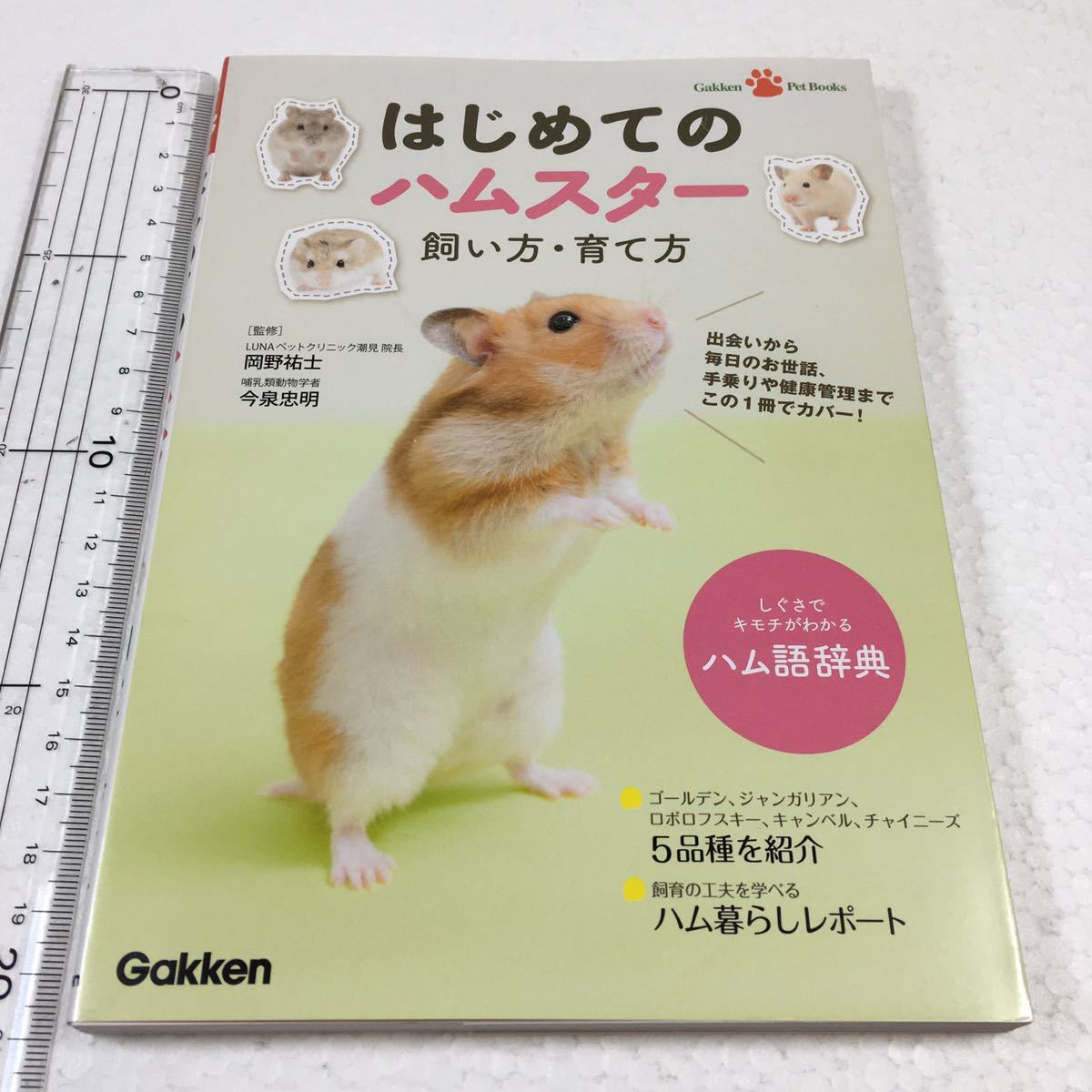 即決 未読未使用品 全国送料無料♪ はじめてのハムスター 飼い方・育て方 JAN- 9784058005385拍卖