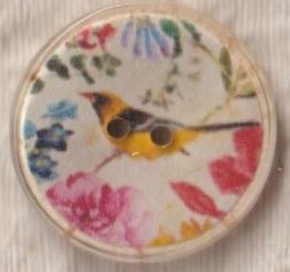 ドイツ ココナッツボタン 2穴 小鳥カラフル 直径20ミリ拍卖