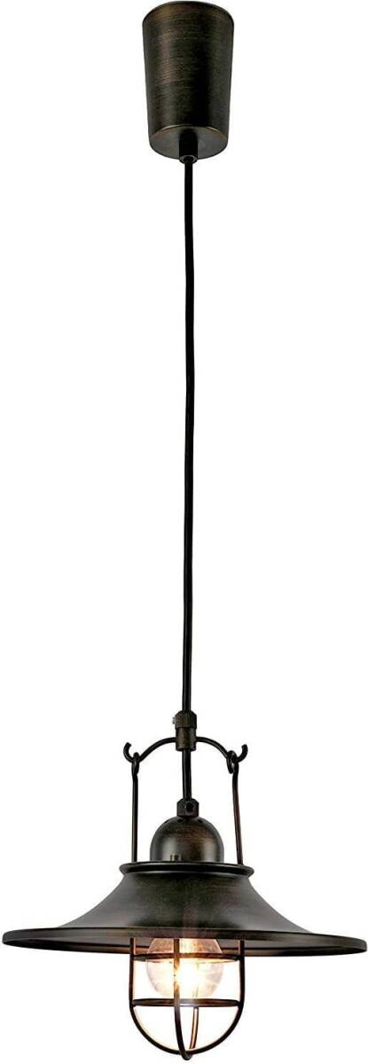 アンプール ペンダントライト 照明 おしゃれ LEDペンダントライト 1灯 アイアン インダストリアル レトロ アンティーク LED【ブラック拍卖