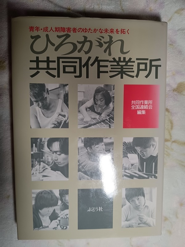 048:青年・成人期障害者のゆたかな未来を拓く ひろがれ共同作業所拍卖