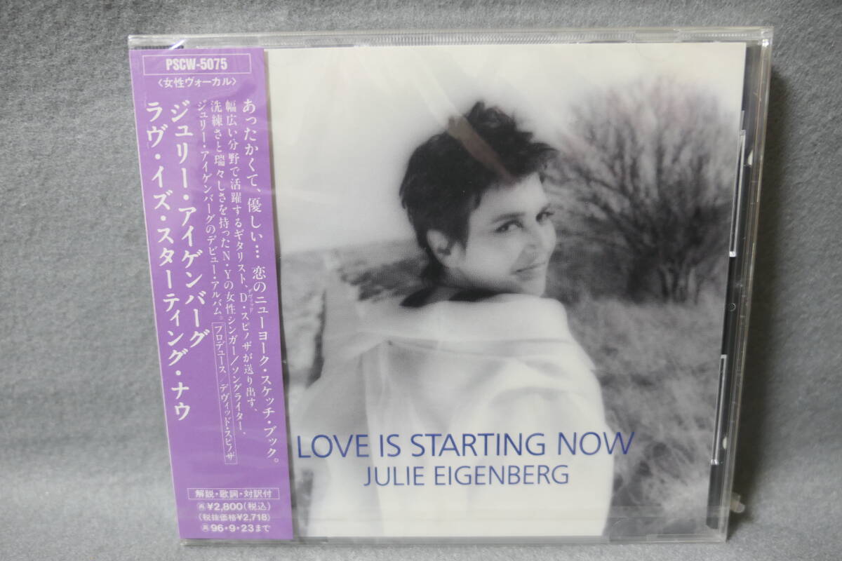 ★同梱発送不可★中古CD 未開封 / Julie Eigenberg / Love Is Starting Now / ジュリー・アイゲンバーグ/ラヴ・イズ・スターティング・ナウ拍卖