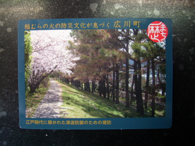 ■歴まちカード■広川町■マンホール(#46拍卖