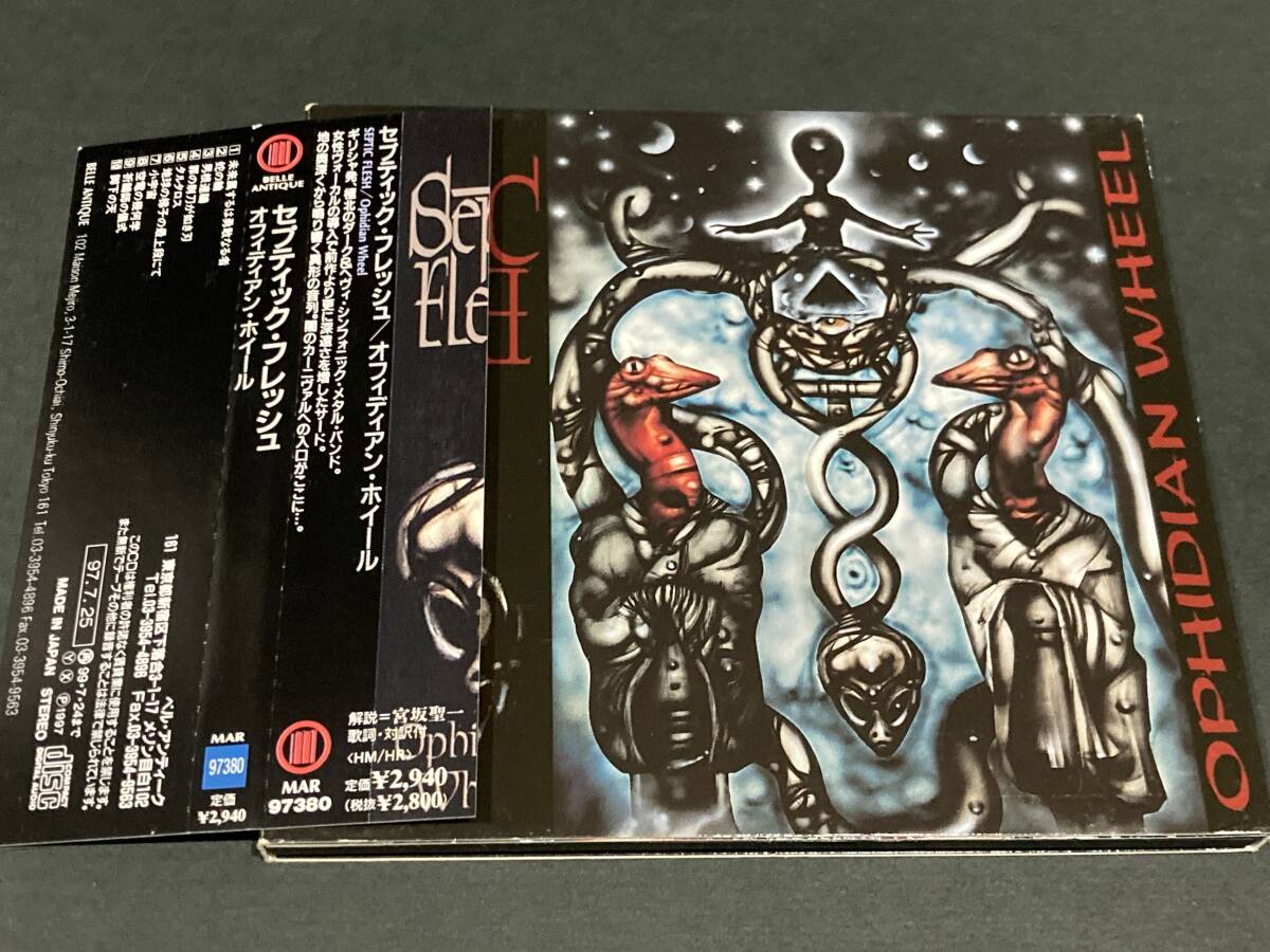 国内盤帯付CD Septic Fleshセプティック・フレッシュ / OPHIDIAN WHEELオフィディアン・ホイール シンフォニック・デス・メタル拍卖