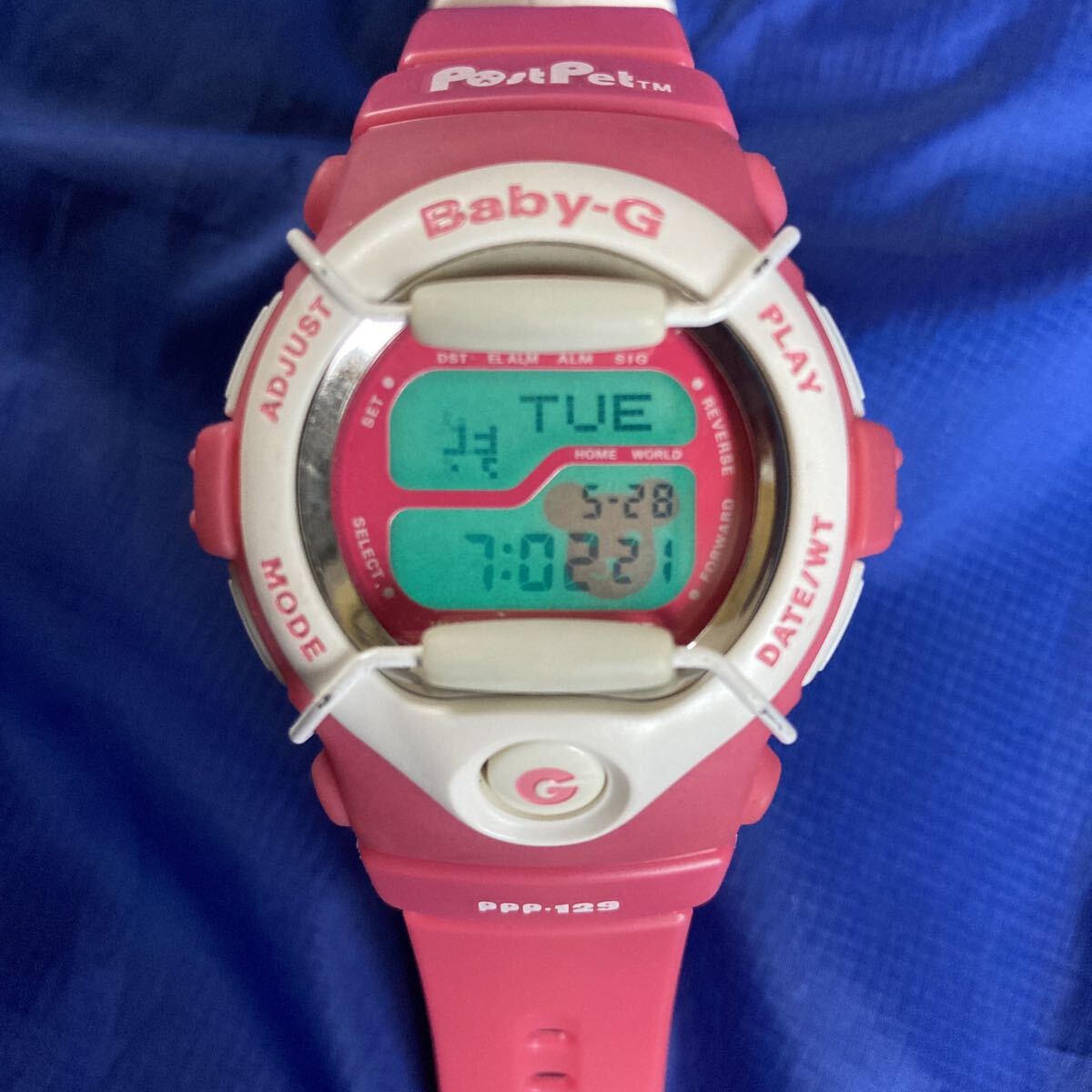 ★即決有★激レア!ELモモくま 限定 ポストペット Baby-G PostPet ポストペット モモ 桃色 ピンク色 Baby-G カシオ腕時計 CASIO Baby-G拍卖