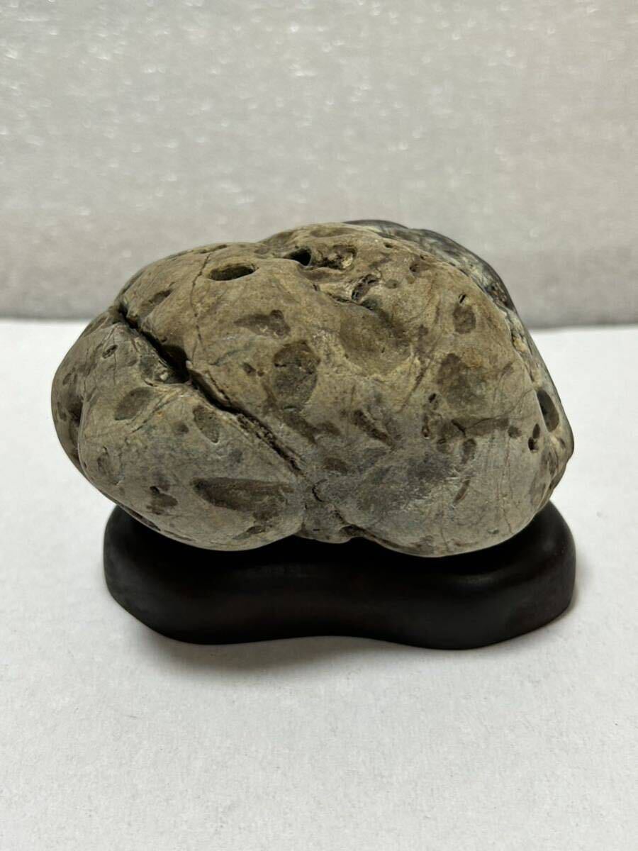 レア希少!鑑賞石 ①!置物!インテリアオブジェなどに!拍卖