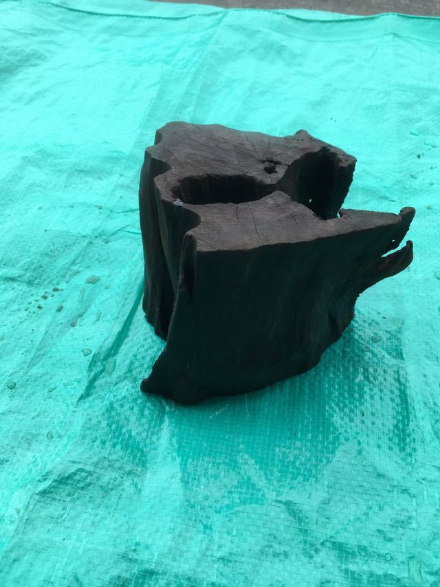 流木 アクアリウム 水槽 熱帯魚 淡水魚 13x13x13拍卖