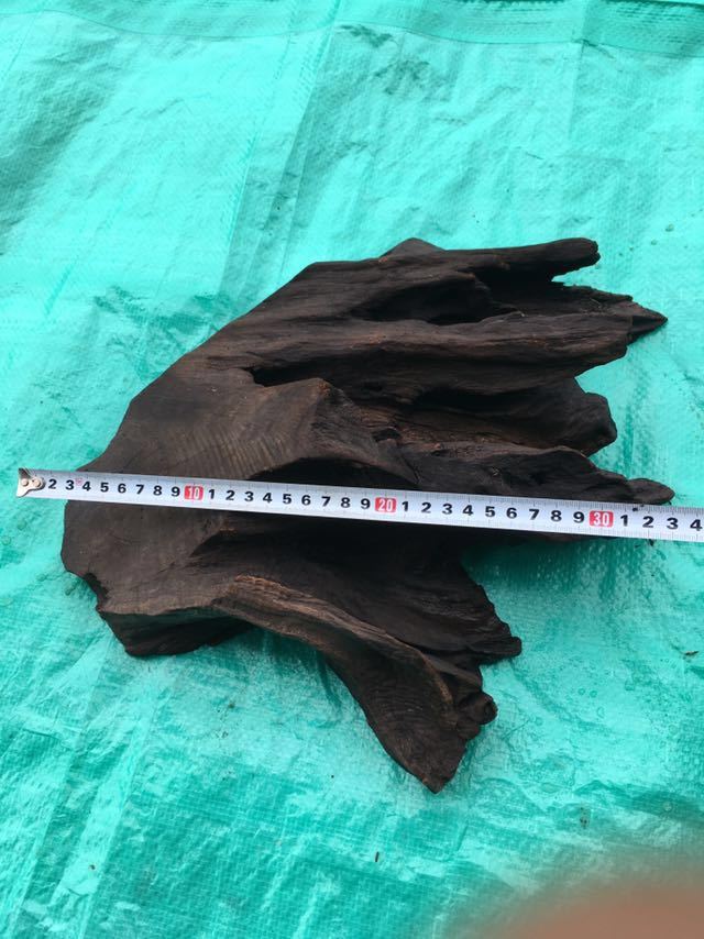 流木 アクアリウム 水槽 熱帯魚 淡水魚30x35x10拍卖