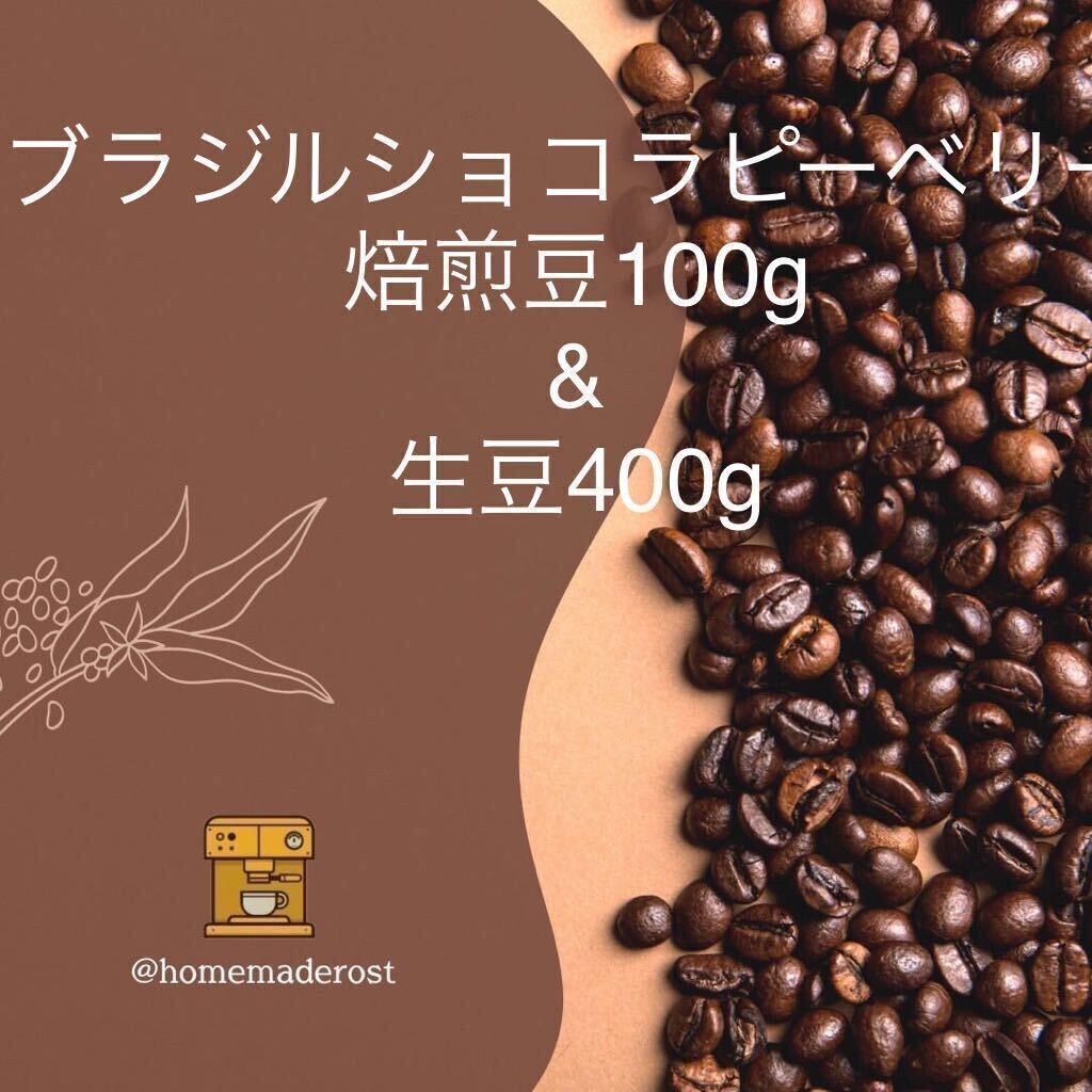 ブラジルショコラピーベリー 焙煎豆100g &生豆400g拍卖