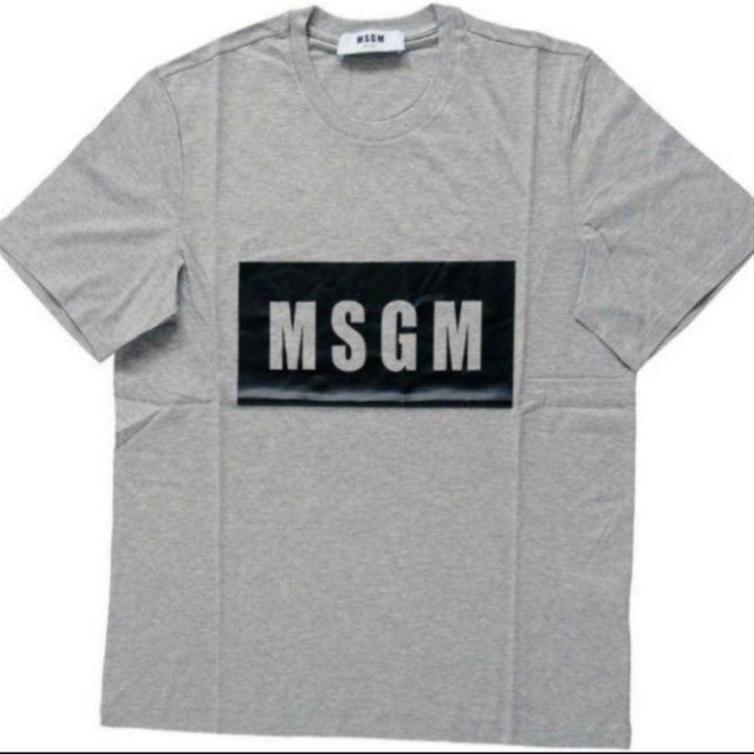 【M】MSGM エムエスジーエム/半袖Tシャツ/パネルロゴプリント/1000MM67/グレー拍卖