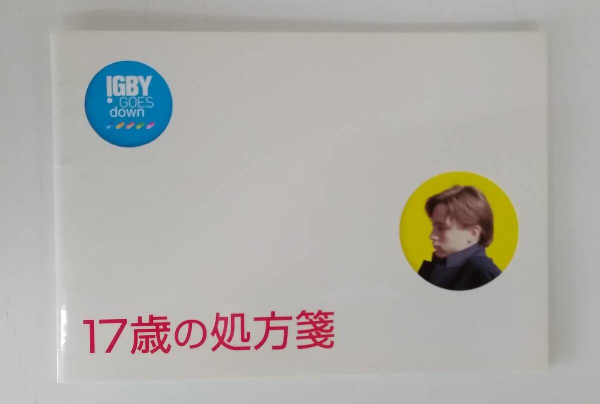 【JN-0886】長期保管品/17歳の処方箋/キーラン・カルキン/バー・スティアーズ/パンフレット/映画/中古/HY拍卖