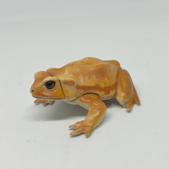 チョコエッグ 日本の動物 ミヤコヒキガエル 海洋堂 松村しのぶ チョコQ拍卖