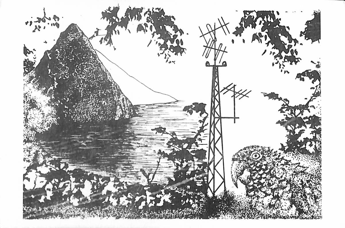 BCL★難局★入手困難★希少ベリカード★セントルシア放送★ST. LUCIA BROADCASTING CORPORATION★イギリス海外領土★西インド諸島★1987年拍卖