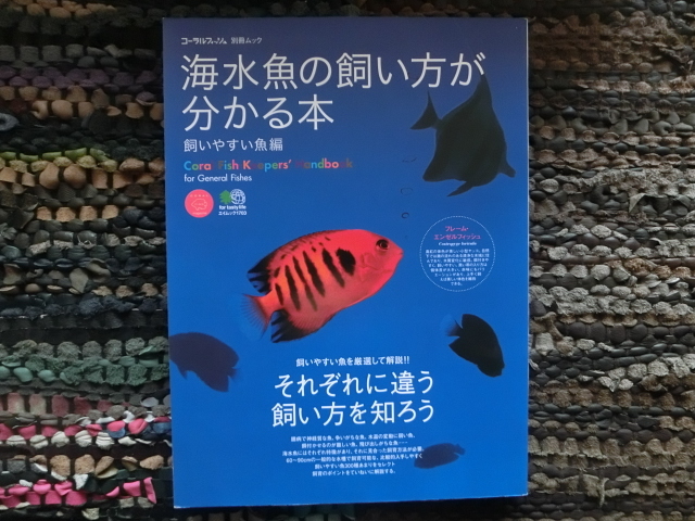 ★海水魚の飼い方がわかる本★飼いやすい魚 編★拍卖