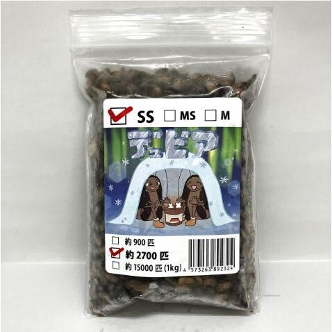 【送料無料・邑楽ファーム・クール便発送】冷凍デュビア SSサイズ(約2700匹入り)拍卖