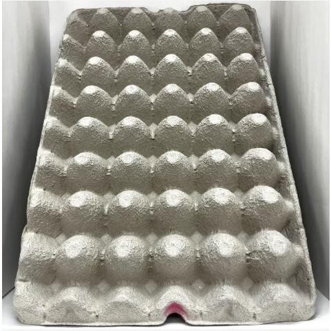 【送料無料・邑楽ファーム】卵パック 加工なし 100枚組拍卖