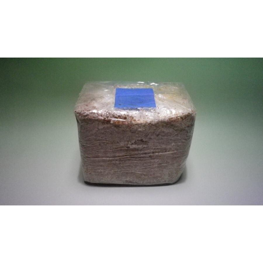 【送料無料】ブリーダーズ・ファーム【くぬぎ屋・大夢】大夢Bブナ100 ブロック4,2L×10個セット拍卖