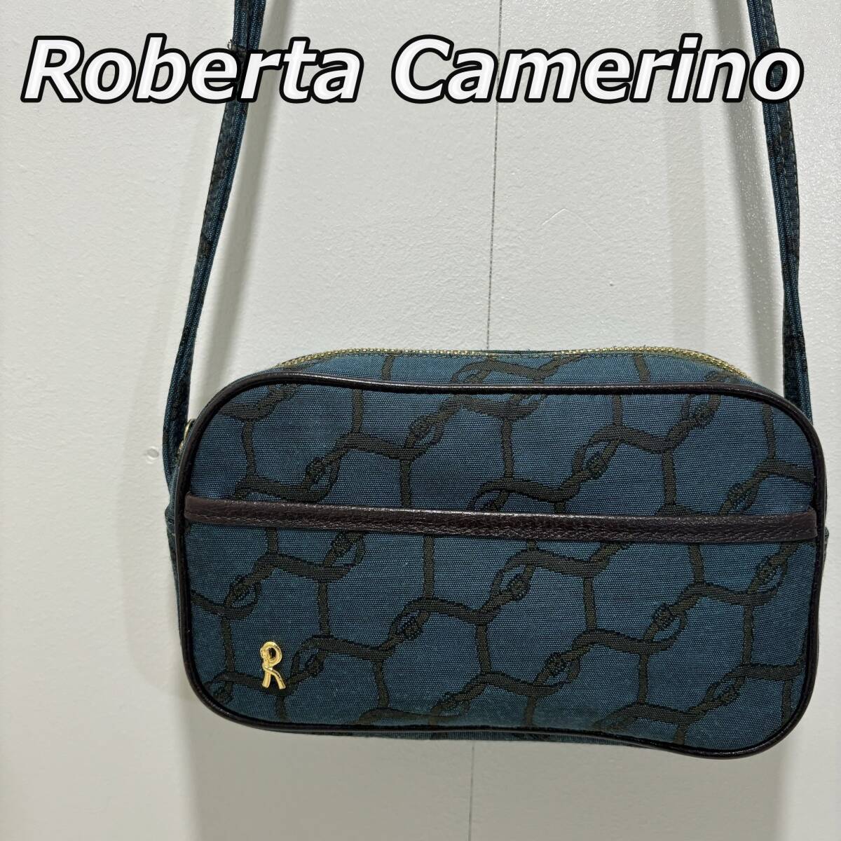 【Roberta Camerino】ロベルタ カメリーノ Rロゴ 総ベルト柄 ポーチ型 ミニ ショルダーバッグ 斜め掛け かばん拍卖