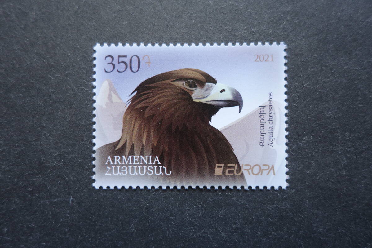 外国切手:アルメニア切手 「ヨーロッパ切手・共通テーマ・絶滅危惧種」(イヌワシ)1種完 未使用拍卖