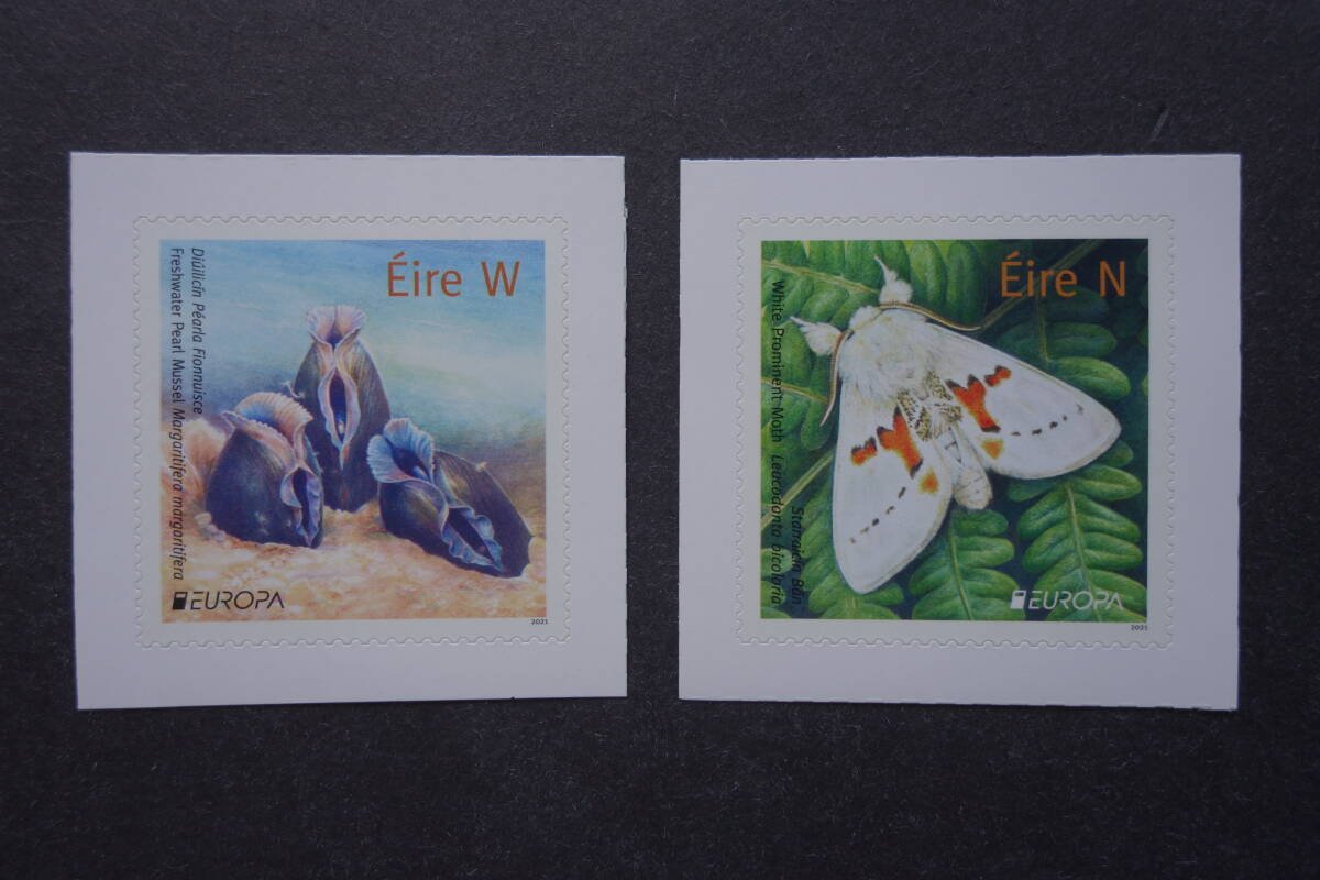 外国切手:アイルランド切手 「(2021年ヨーロッパ切手)共通テーマ・絶滅危惧種」(カワシンジュガイ ほか)2種完 未使用拍卖
